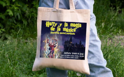 Espectáculo benéfico «Harry y la magia de la Música»