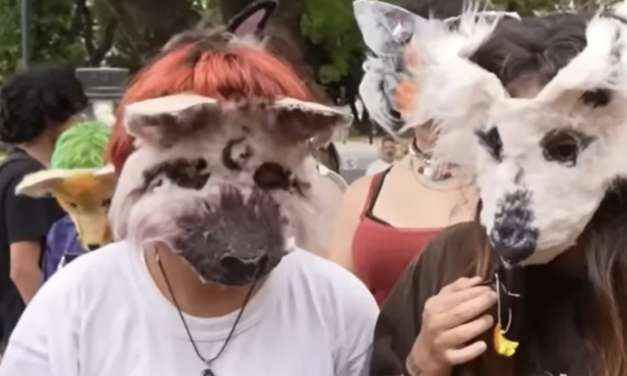 Surrealismo animal