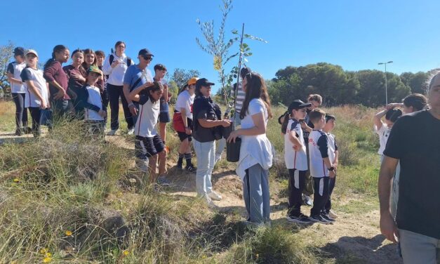 150 árboles contra el avance del cambio climático