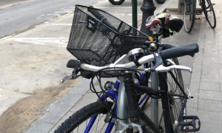 la bicicleta resiliente