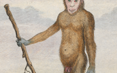 L.U.C.A., el ‘Big bang’ de la vida