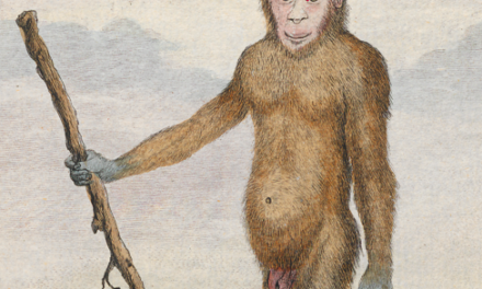 l.u.c.a., el ??ig bang??de la vida