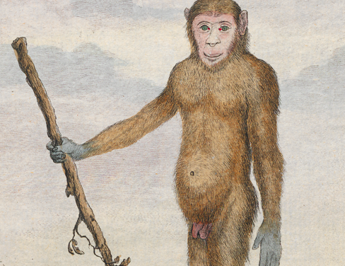 L.U.C.A., el ‘Big bang’ de la vida