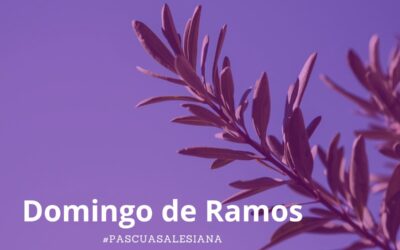 Comienza la Semana Santa: Domingo de Ramos