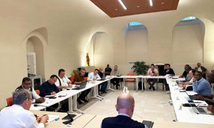 Primer encuentro mundial de formación para Vicarios Inspectoriales